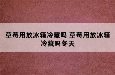 草莓用放冰箱冷藏吗 草莓用放冰箱冷藏吗冬天